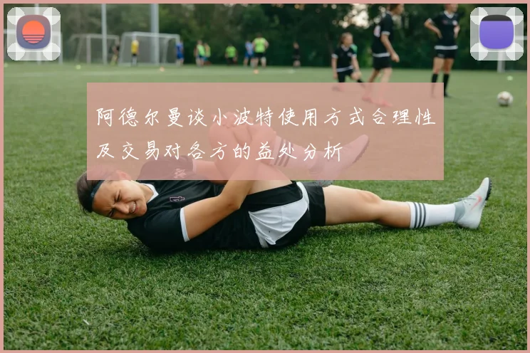 阿德尔曼谈小波特使用方式合理性及交易对各方的益处分析