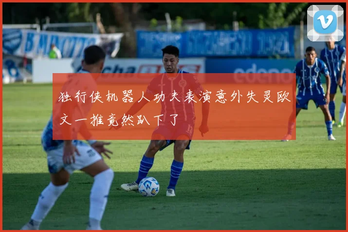 独行侠机器人功夫表演意外失灵欧文一推竟然趴下了