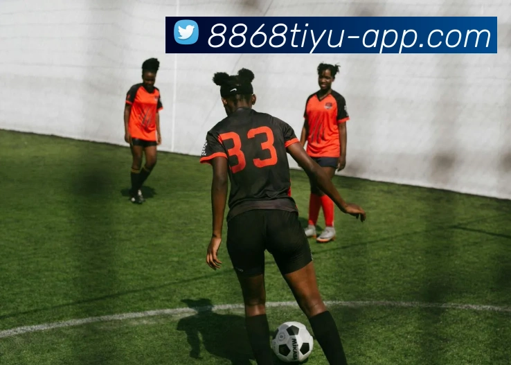 App Interface Preview