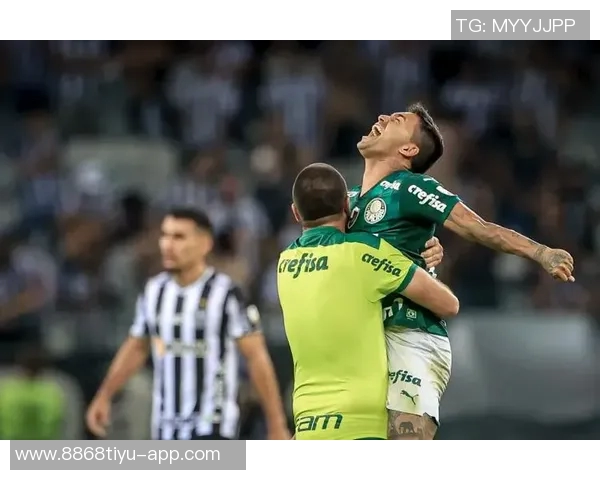 巴西足球盛事帕尔梅拉斯与弗拉门戈争夺南美解放者杯冠军